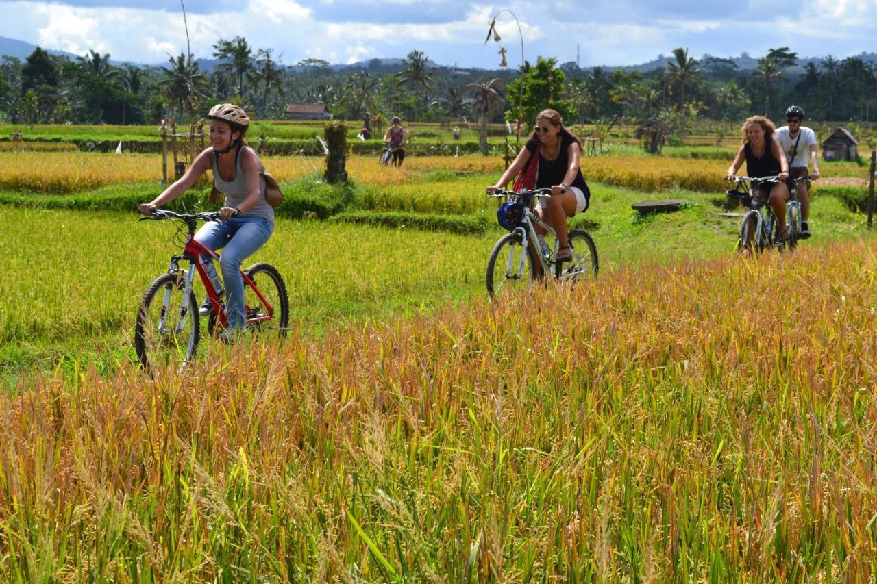 Bali Culture Guesthouse Ubud Esterno foto