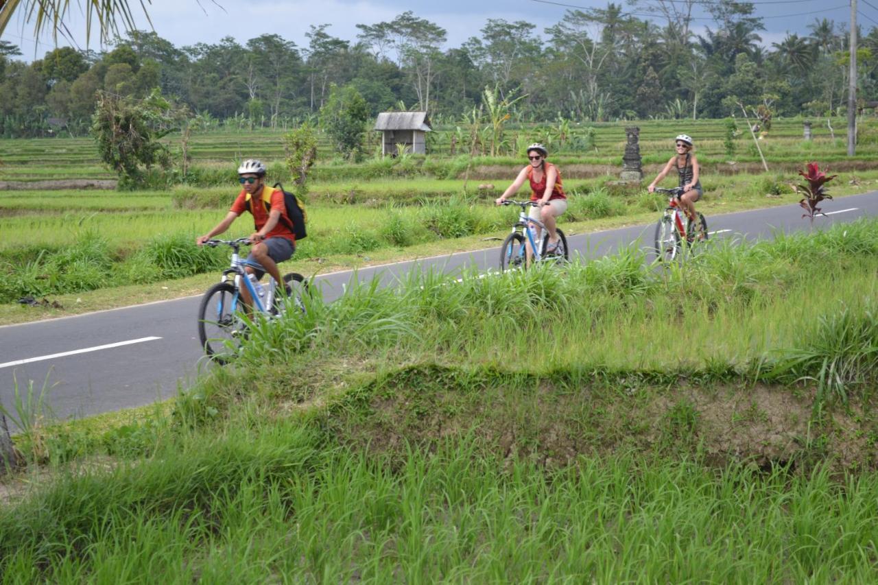 Bali Culture Guesthouse Ubud Esterno foto